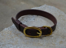 Classic Collar