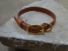 Classic Collar