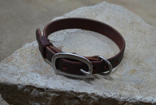 Classic Collar