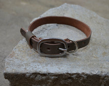 Classic Collar