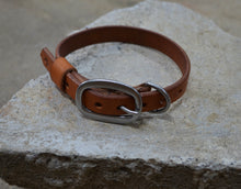 Classic Collar