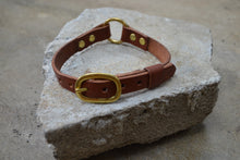 In Ring Collar