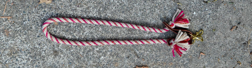 Loop rein: two toned pink stripe. Small.