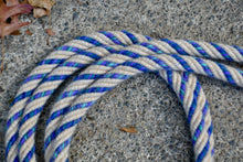 Loop rein: Cream with aqua blue stripe. Large