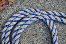 Loop rein: Cream with aqua blue stripe. Medium