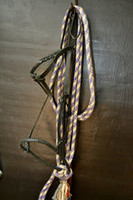 Californian Loping Hackamore with 8 plait leather noseband: black