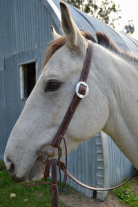 Traditional simple headstall.