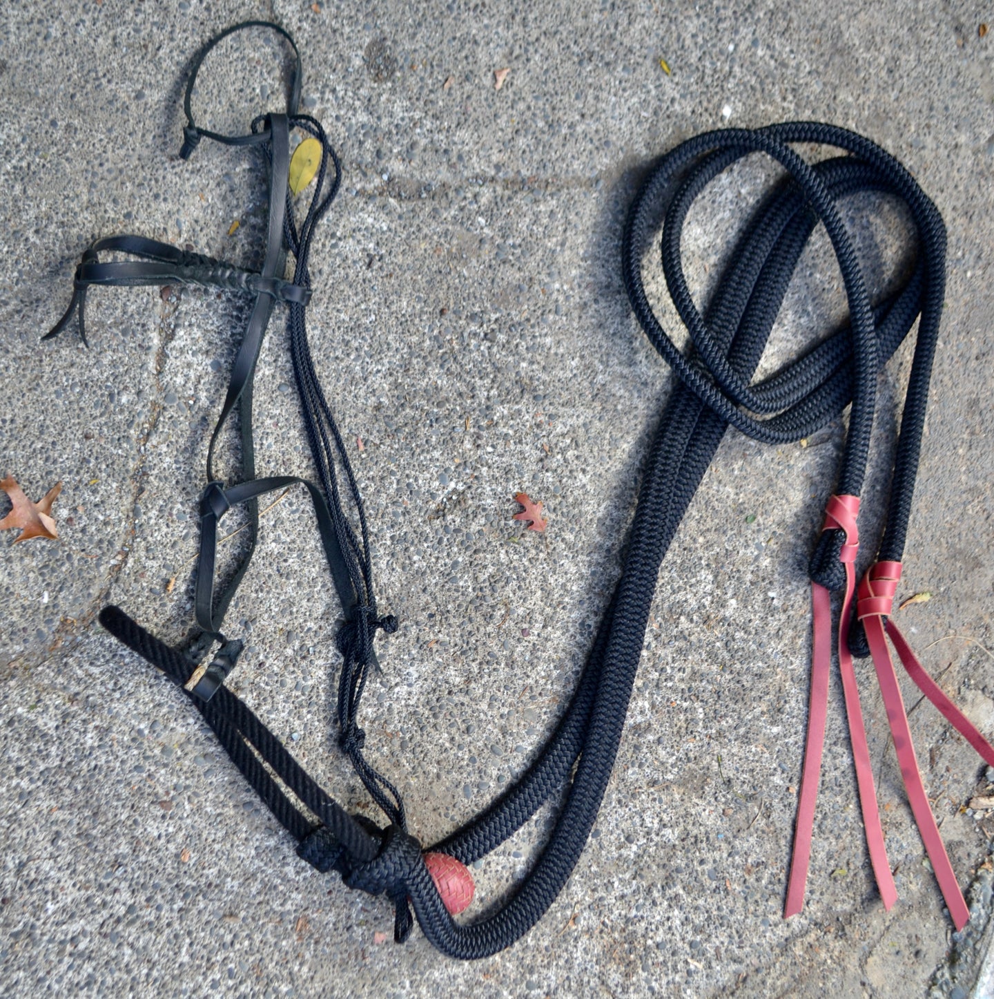 Californian Loping Hackamore with rope nose. All Black