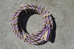 Brown and white "brown band" with purple mecate