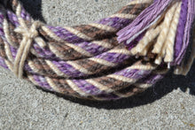 Brown and white "brown band" with purple mecate