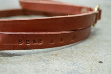 The Original Leather Dog Lead