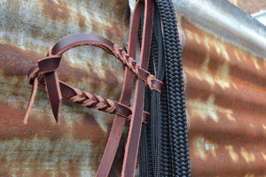 loping hackamore brow band and black reins