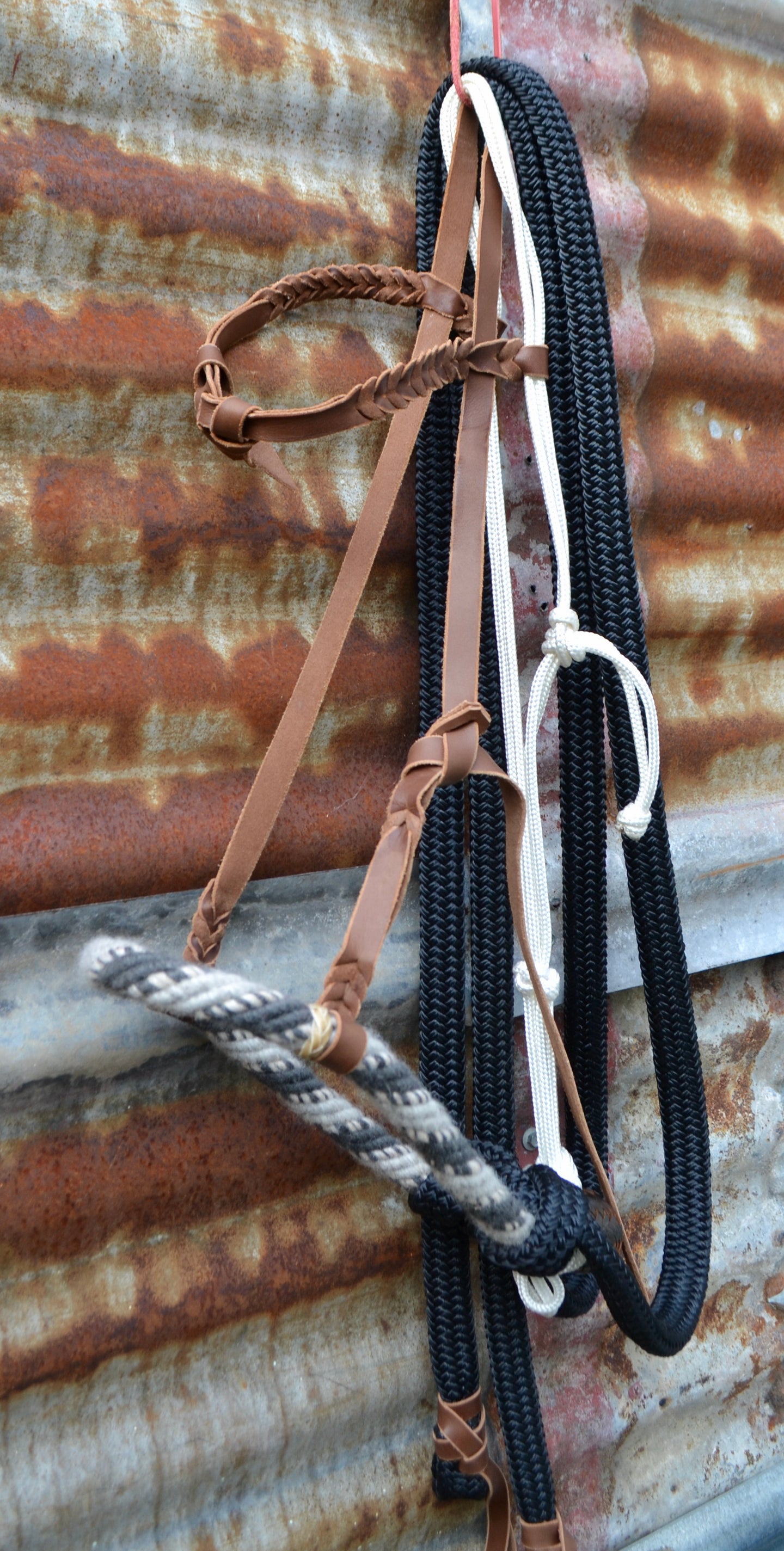 Loping hackamore: dark and light grey rope nose band