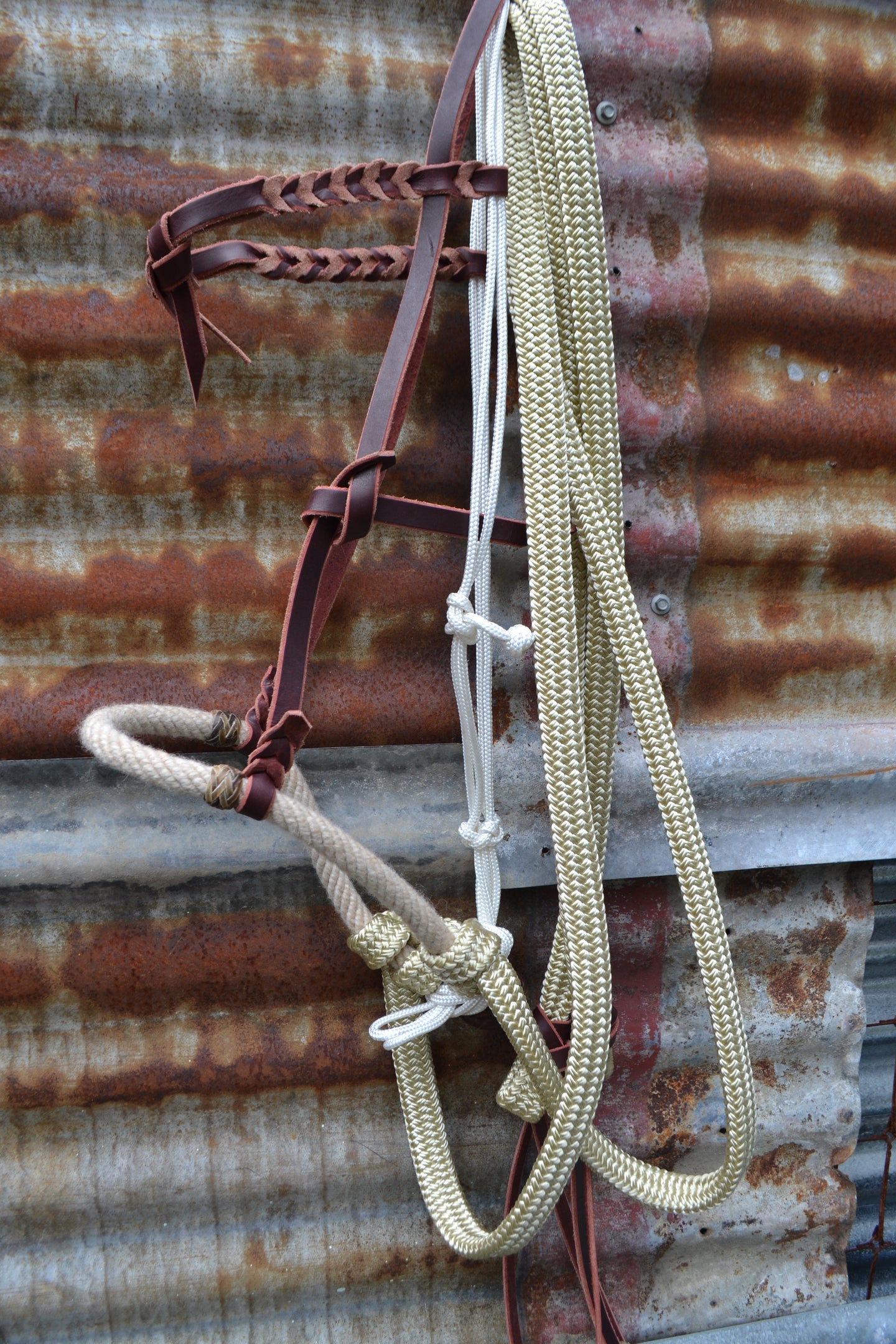 Loping hackamore: cream rope nose band 