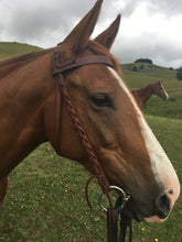 Plaited Cheek Bridle / Headstall. (Tickle's Bridle")